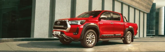 Stylish Roll Bar & Over Fender