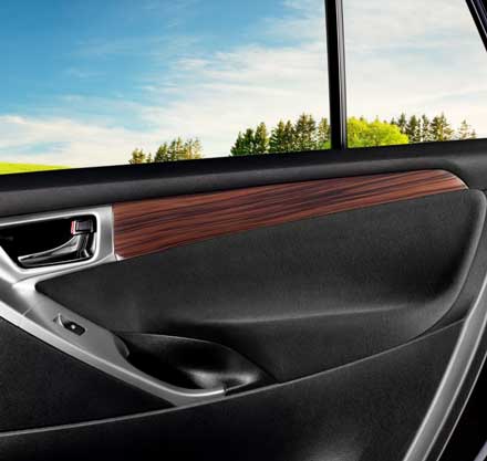 WOOD FINISH INTERIOR PANELS