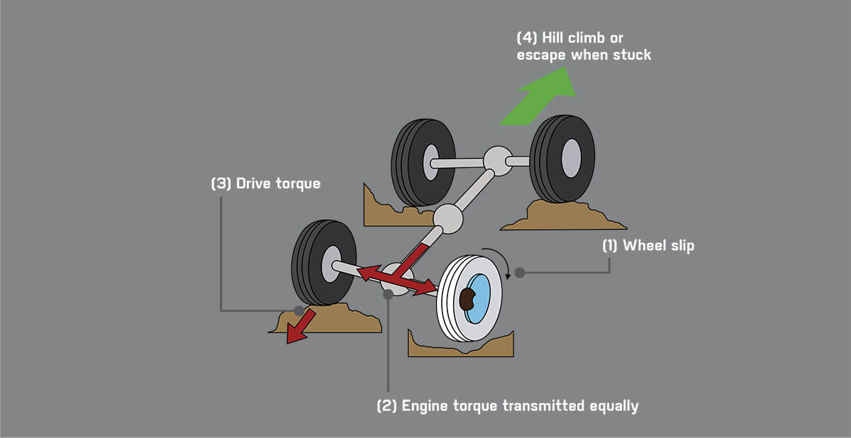Electronic Differential Lock*
